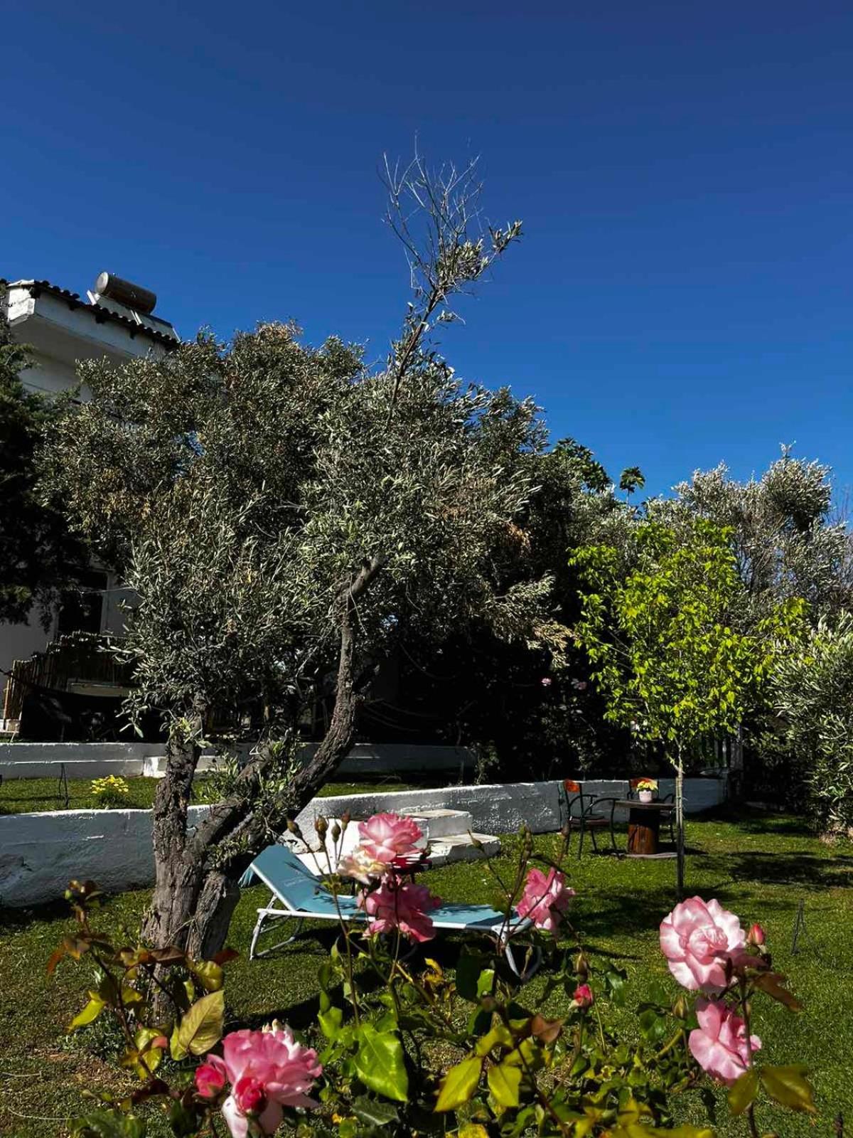Apartment Savvinio Country *