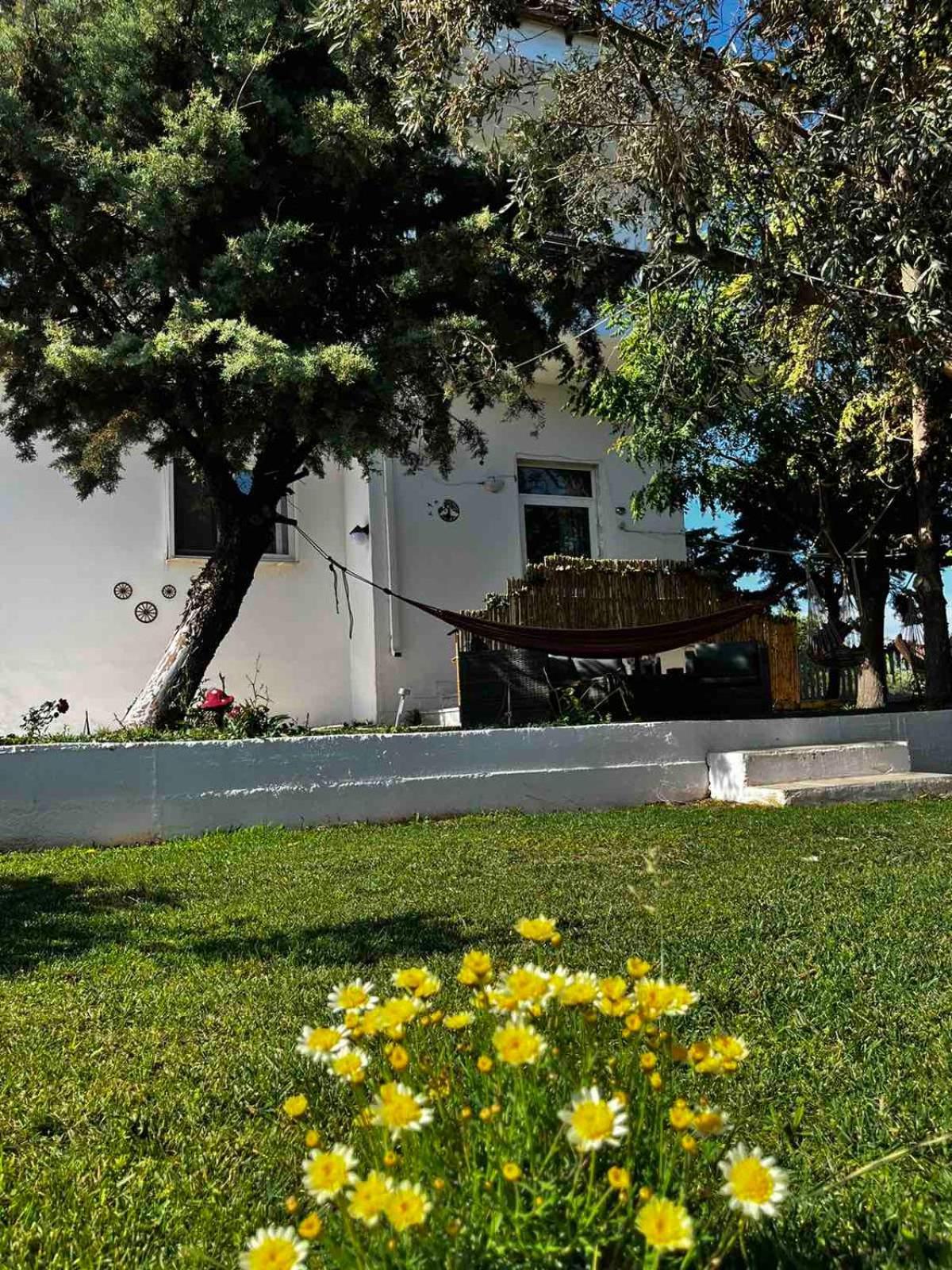 Savvinio Country